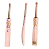 DSC Eureka Fortune Cricket Bat