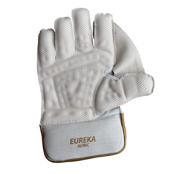 DSC Eureka auric Wicket Keeping Gloves - Image 4
