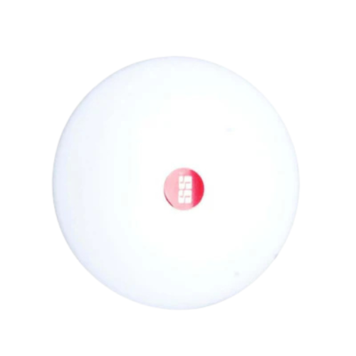 SS Bowling Marker - Image 2