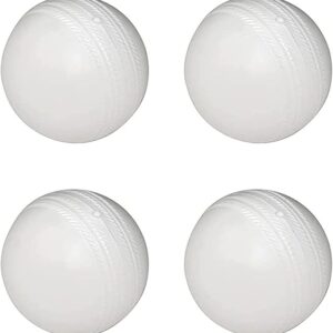 Plastic Training Balls